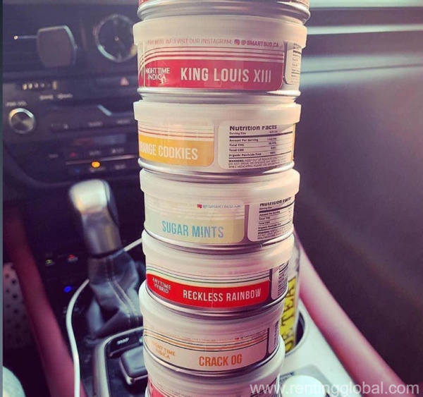 www.rentingglobal.com, renting, global, Pennsylvania, USA, cartridges,cbd oil,hemp oil,clones,green crack,smartbuds,pre roll, GRAP YOUR TOP QUALITY BUDS,CARTRIDGES AND CBD OIL