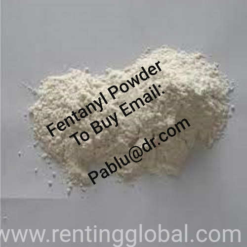 www.rentingglobal.com, renting, global, Miami, FL, USA, fentanyl powder for sale in switzerland,  fentanyl powder for sale,  fentanyl powder,  fentanyl powder,  fentanyl powder in uk   fentanyl powder in usa,  fentanyl powder in germany,  fentanyl powder in spain,  fentanyl powder in italy,  fentanyl powder in france,  fentanyl powder in switzerland,  fentanyl powder in canada,  fentanyl powder in sweden, Fentanyl powder for Sale in Switzerland Email: pablu@dr.com