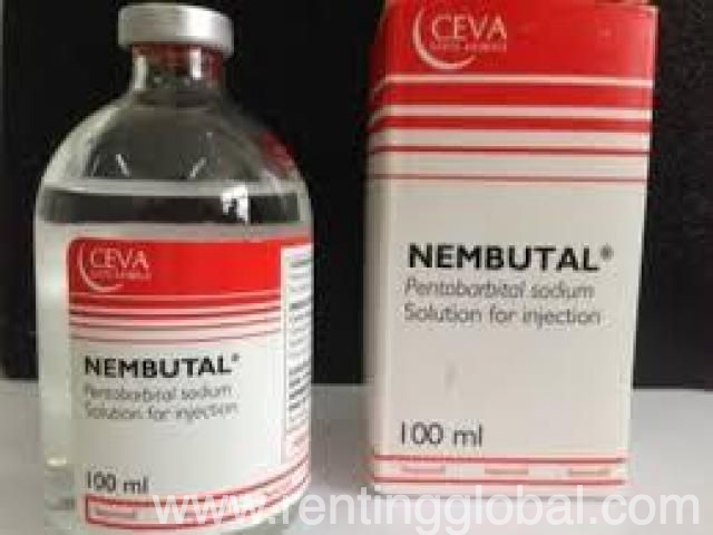 www.rentingglobal.com, renting, global, Niederkirchnerstraße 1, 10117 Berlin, Germany, buy nembutal online,where to buy nembutal online,buy pentobarbital online,where to buy pentobarbital sodium online,how to buy pentobarbital sodium online,nembutal pentobarbital for sale,online nembutal store,nembutal solution, Buy Nembutal Powder Online, Whatsapp: +1 (612) 470-0476