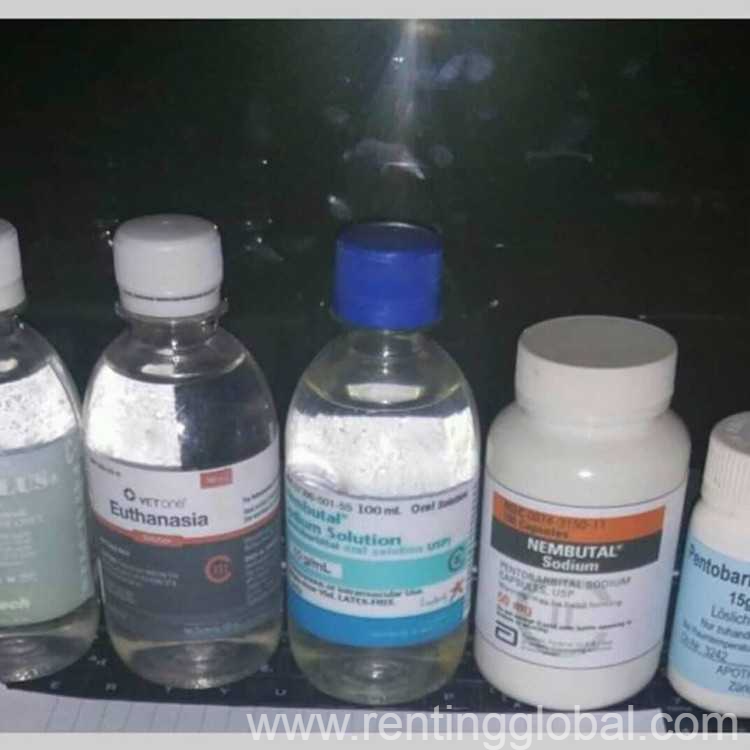 www.rentingglobal.com, renting, global, California, USA, buy nembutal online,best quality nembutal for sale,buy nembutal online in usa,buy nembutal uk and canada,order nembutal worldwide,purchase nembutal usa,where to buy nembutal online,purchase nembutal online, Buy Nembutal Online