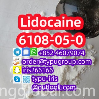www.rentingglobal.com, renting, global, China, lidocaine,6108-05-0, Lidocaine cas 6108-05-0 Quality assurance Telegram：+852 46079074