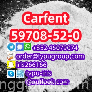 www.rentingglobal.com, renting, global, China, carfent,59708-52-0, Good quality Carfent cas 59708-52-0 low sale price huge stock Telegram：+852 46079074