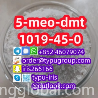 www.rentingglobal.com, renting, global, China, 5-meo-dmt,1019-45-0, 5-meo-dmt cas 1019-45-0 nice price amazing quality Telegram：+852 46079074