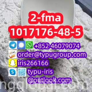 www.rentingglobal.com, renting, global, China, 2-fma,1017176-48-5, 2-fma cas 1017176-48-5 with good price Telegram：+852 46079074