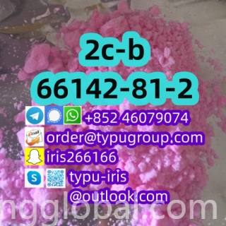 www.rentingglobal.com, renting, global, China, 2c-b,66142-81-2,2,5-dimethoxy-4-bromophenethylamine, 2c-b cas 66142-81-2 nice price amazing quality Telegram：+852 46079074