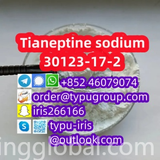 www.rentingglobal.com, renting, global, China, tianeptine sodium,30123-17-2, Tianeptine sodium cas 30123-17-2 Hot sale Telegram：+852 46079074