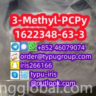www.rentingglobal.com, renting, global, China, 3-methyl-pcpy,1622348-63-3,3-me-pcpy, 3-Methyl-PCPy(3-Me-PCPy) cas 1622348-63-3 excellent quality Telegram：+852 46079074