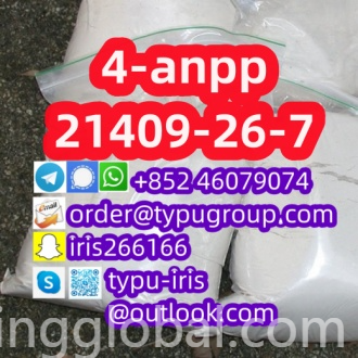 www.rentingglobal.com, renting, global, China, 4-anpp,21409-26-7, 4-anpp cas 21409-26-7 low sale price huge stock Telegram：+852 46079074