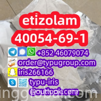 www.rentingglobal.com, renting, global, China, etizolam,40054-69-1, etizolam cas 40054-69-1 with good price Telegram：+852 46079074