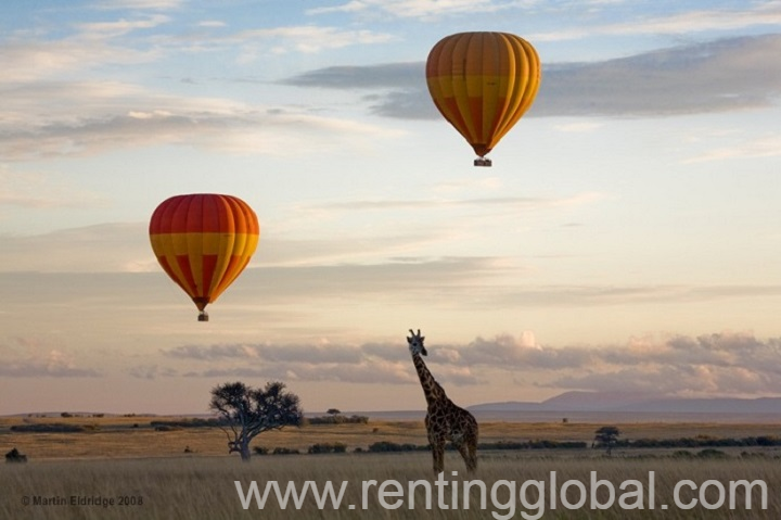 www.rentingglobal.com, renting, global, Nairobi, Kenya, book kenya balloon safaris, balloon safaris,yha-kenya travel balloon safari package, masai mara ballooning, hot air balloon, kenya budget safaris, balloon adventure,safari trip. kenya, yha kenya travel tours and safaris, balloon safaris, balloon safari, kenya balloon safari,kenya balloon safaris, book balloon safaris adventure in kenya, balloon safaris in masai mara kenya, book hot air kenya balloon safaris, balloon adventure safari kenya, hot air ballooning, masai mara kenya, hot air balloon safaris masai mara,hot air ballooning safari, balloon adventure safari, masai mara balloon safari, masai mara safaris,  kenya adventure safaris, safari in kenya, go kenya,  kenya trips, kenya tours, kenya wildlife safaris , kenya camping safaris, kenya budget safaris, kenya short safaris, small group safaris kenya, small group safaris, small group adventures,  kenya balloon adventure holidays travel, kenya migration safari,wildebeest migration mara., YHA Kenya Travel 5 Days 4 Nights Balloon Combined Lake Nakuru / Lake Naivasha  & Masai Mara Budget Safari.