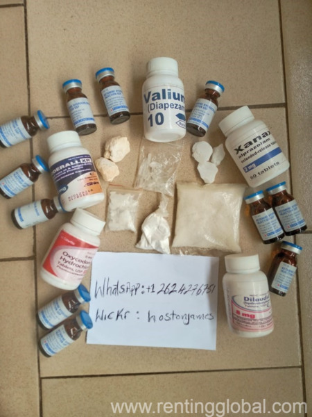 www.rentingglobal.com, renting, global, 333 S Lowville Rd, Rio, WI 53960, USA, buy fentanyl patches online,buy oxycodone online,buy suboxone online,buy vyvanse online,buy vicodin online,buy ritalin online,buy qsymia online,buy quaaludes online,buy oxycontin online,buy ephedrine online,buy dianabol online,buy concerta online,buy darvocet online,buy ativan online,buy adderall online, Buy Vyvanse Online Without Prescription Whatsapp: +1(262) 427-6751