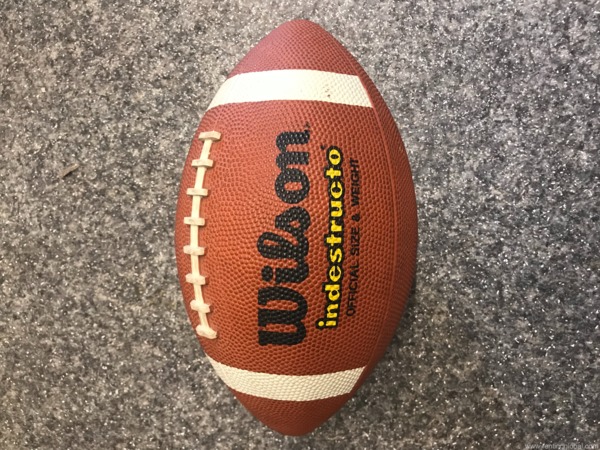 www.rentingglobal.com, renting, global, New York, NY, USA, american,football,ball, American football ball