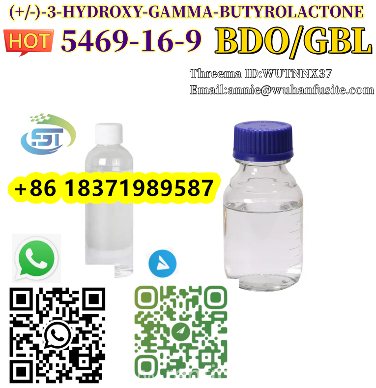 www.rentingglobal.com, renting, global, Hollywood, Los Angeles, CA, USA, 5469-16-9, Low Price and High purity 5469-16-9 BDO Chemical 3-Hydroxy-Gamma-Butyrolactone 