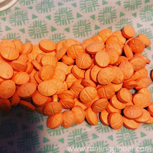 www.rentingglobal.com, renting, global, San Francisco, CA, USA, adderall,xanax,ambien,ritalin,vyvanse,percocet, Top quality Adderall, oxycodon, xanax, Ambien, ritalin, vyvanse, percocet, Hi-tech, and more  