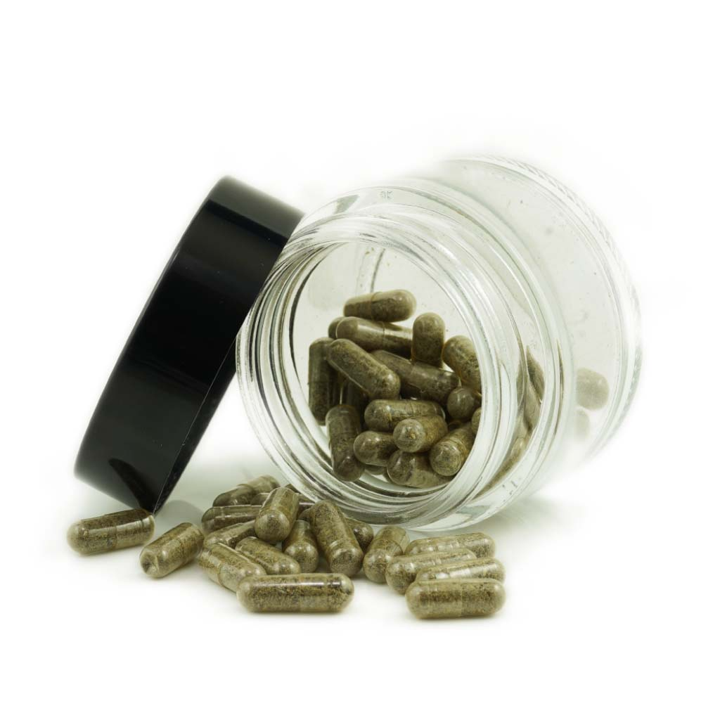 www.rentingglobal.com, renting, global, Vancouver, BC, Canada, capsules, Shrooms Microdosing Capsules