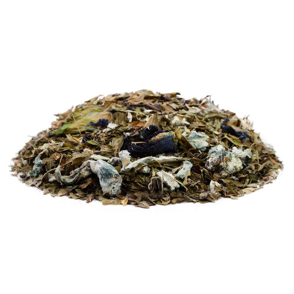 www.rentingglobal.com, renting, global, Vancouver, BC, Canada, teas, Room 920 – Lemon Ginger Herb