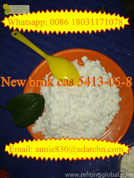 www.rentingglobal.com, renting, global, Shijiazhuang, Hebei, China, new bmk,bmk,5413-05-8, bmk/new bmk/pmk/ BMK Glycidate  16648-44-5/5413-05-8 whatsapp/signal:+86 18031171078