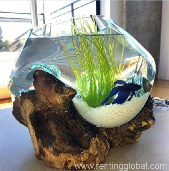 www.rentingglobal.com, renting, global, 15 Tamar Ave, Lea Glen, Randburg, 1709, South Africa, aquarium,terrarium,craft,unique,glass,business,sales,jobs, Molten Glass Business Opportunity