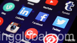 www.rentingglobal.com, renting, global, Douala, Cameroon, buy small high quality pbn seo online, Quality PBN For Sale online at https://afriqwebtech.com