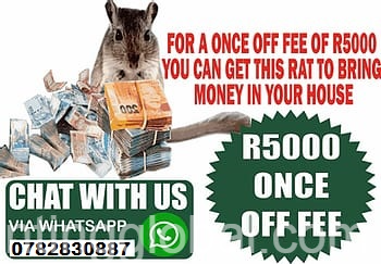 www.rentingglobal.com, renting, global, Pietermaritzburg, South Africa, money spell,magic wallet,magic rats,business boosting spell, Money Spell Magic Ring Wallet And Rats In Pietermaritzburg Call ☎+27782830887 East London And Cape Town South Africa