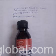 www.rentingglobal.com, renting, global, Central Ave, Gandhibagh, Nagpur, Maharashtra, India, nembutal,pentobarbital, Nembutal Pentobarbital Sodium for sale without prescription