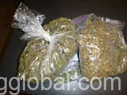 www.rentingglobal.com, renting, global, 1201 S Figueroa St, Los Angeles, CA 90015, USA, marijuana products. og kush, bubba kush and blue berry