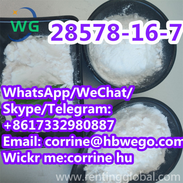 www.rentingglobal.com, renting, global, China, 28578-16-7, 100% safe delivery GLYCIDATE oil CAS .28578-16-7 CAS NO.28578-16-7