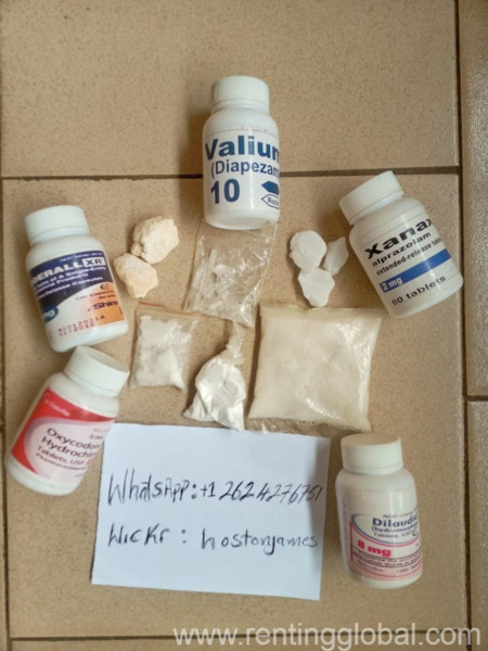 www.rentingglobal.com, renting, global, 333 Fremont St, San Francisco, CA 94105, USA, buy adderall online, buy ativan online, buy darvocet online, buy concerta online, buy dianabol online, buy ephedrine online, buy oxycontin online, buy quaaludes online, buy qsymia online, buy ritalin online, buy vicodin online, buy vyvanse online, buy suboxone online, buy oxycodone online, buy fentanyl patches online, Buy Oxycontin, Roxycodone, Fentanyl patches, Opana, Vyvanse Whatsapp: +1(262) 427-6751