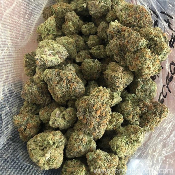 www.rentingglobal.com, renting, global, Smith Ln, Pala, CA 92059, USA, buy dank vapes full gram cartridges online,buy northern light online,buy kurupts moonrock online,buy strawberry cough online,buy sour diesel online,buy ak-48 online,buy purple nepal online,buy amnesia haze online,buy bubba og online,buy thc bomb online,buy durban poison online,buy presidential og online,buy girl scout cookies online,buy blue dream online,,buy gelato online,buy gorilla glue online,buy moonrock online,buy blueberry kush online,buy khalifa kush online,buy grand daddy purple online,buy blue dream online,buy white widow online,buy martian rocks online, Buy martian rocks online|Buy og kush online|Buy white widow online
