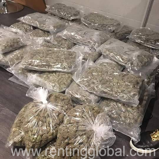 www.rentingglobal.com, renting, global, Las Vegas, NV, USA, 420 Master (weed)