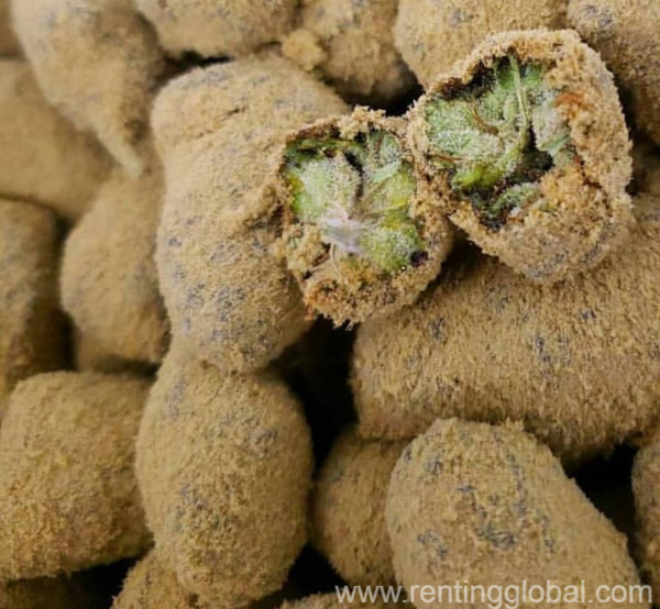 www.rentingglobal.com, renting, global, California City, CA, USA, shop for your treated marijuana here, buy your well treated marijuana online now