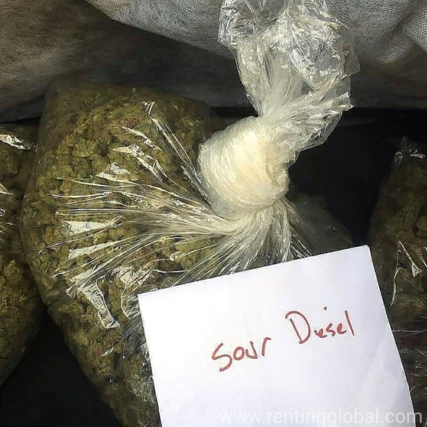 www.rentingglobal.com, renting, global, United States, top quality, Quality grade A++ sour diesels 