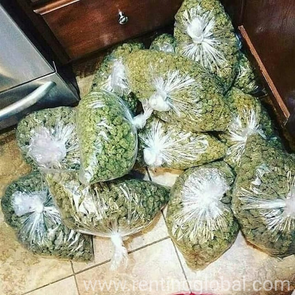 www.rentingglobal.com, renting, global, United States, quality, buds,smoke,weed, Order top strains 