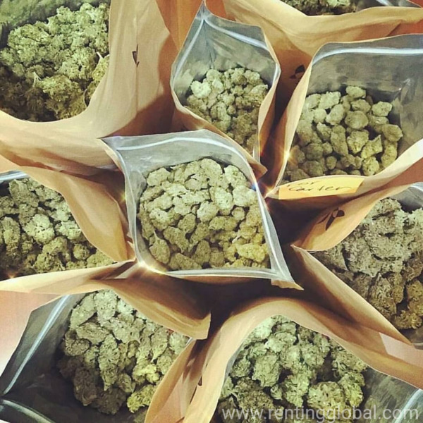 www.rentingglobal.com, renting, global, United States, quality, ORDER HIGH QUALITY MEDICAL MARIJUANA 
