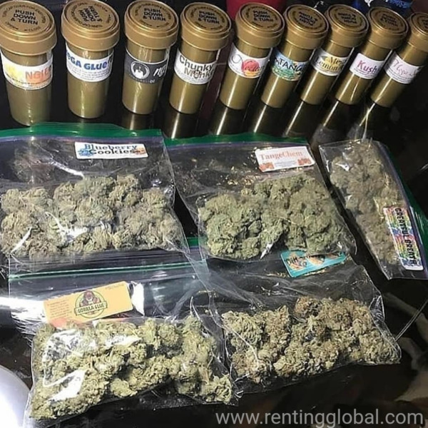 www.rentingglobal.com, renting, global, Austin, TX, USA, quality, ORDER TOP GRADES COKE,CANNA,MUCHROOM 