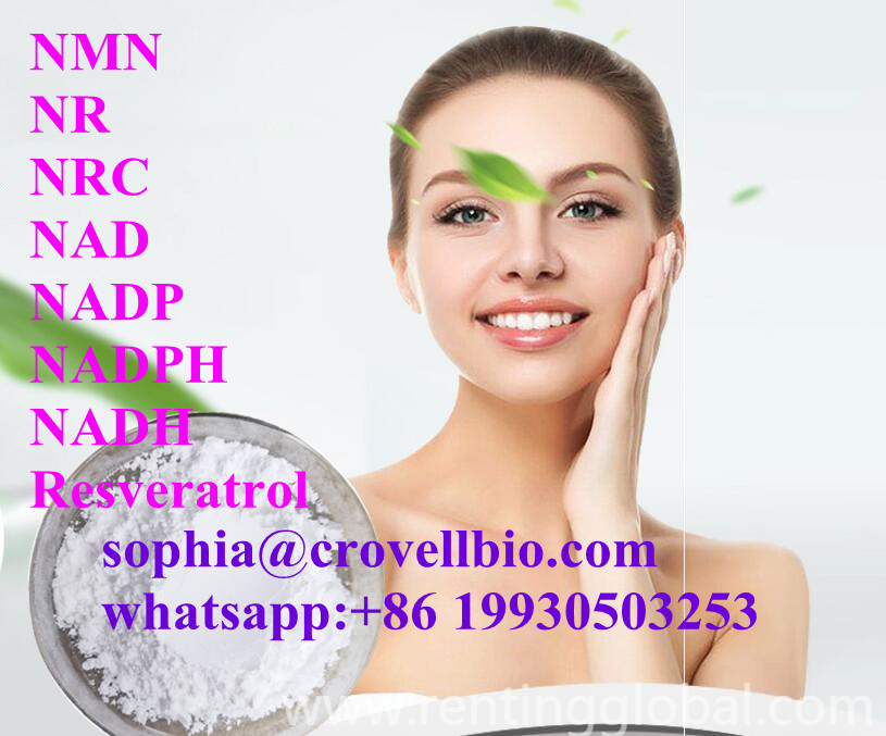www.rentingglobal.com, renting, global, Yu Hua Lu, Luquan Qu, Shijiazhuang Shi, Hebei Sheng, China, nicotinamide mononucleotide nmn powder,nmn powder,nicotinamide mononucleotide,   Nicotinamide Mononucleotide NMN powder cas 1094-61-7 sophia@crovellbio.com 