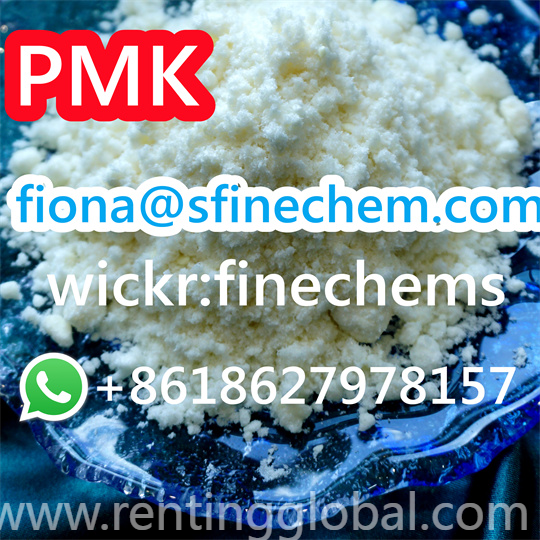 www.rentingglobal.com, renting, global, Shanghai, China, pmk ethyl glycidate, 100% pass custom white PMK ethyl glycidate powder 28578-16-7 Telegram: finechems