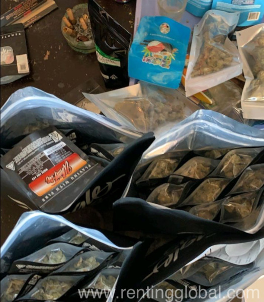 www.rentingglobal.com, renting, global, Los Angeles, CA, USA, pills/steriods/marijuana, Pills/Steriods/marijuana