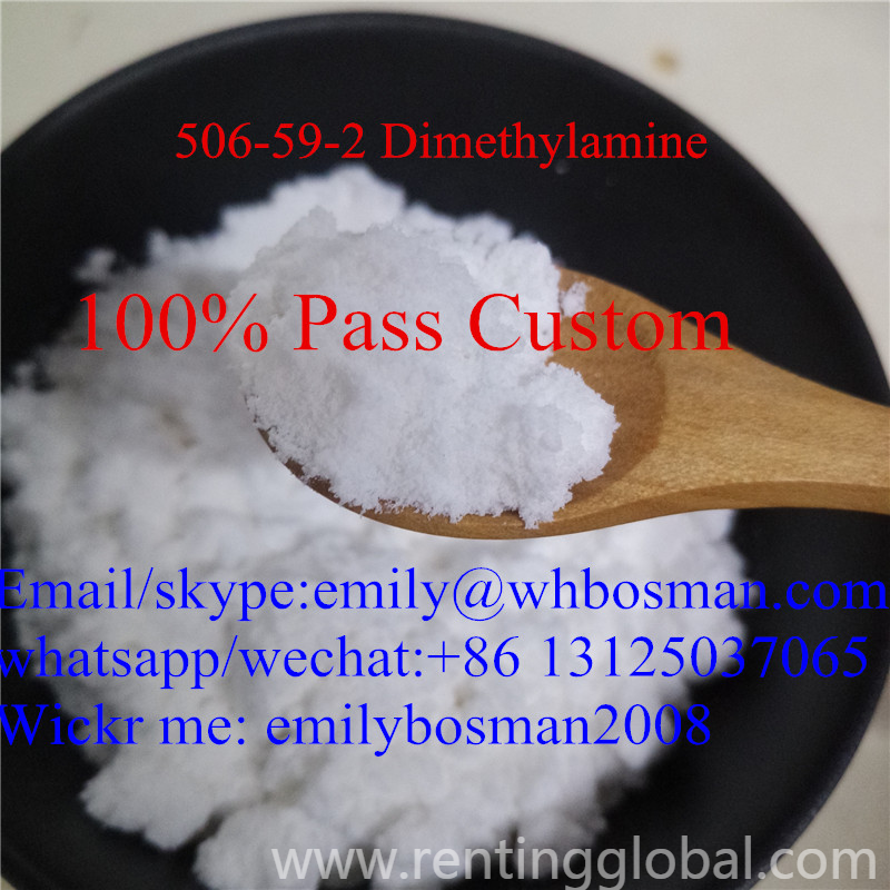 www.rentingglobal.com, renting, global, Wuhan, Hubei, China, dimethylamine hydrochloride,cas 506-59-2,dimethylamine hcl,  Dimethylamine hydrochloride   ,in Stock/Manufacturer Price,emily@whbosman.com