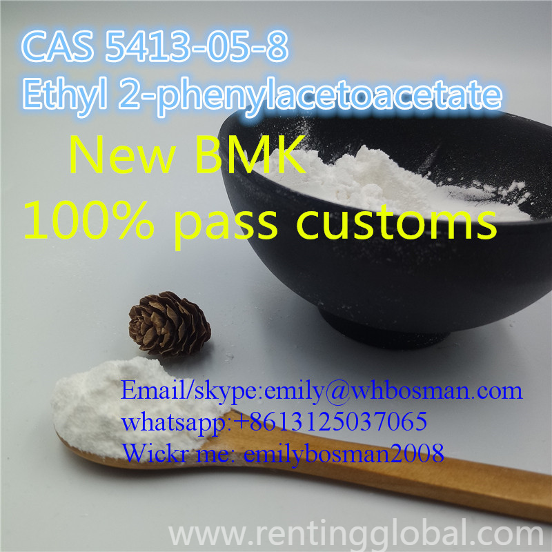 www.rentingglobal.com, renting, global, Moscow, Russia, 5413-05-8,cas 5413-05-8,ethyl 2-phenylacetoacetate, 99% Purity CAS 5413-05-8 Ethyl 2-phenylacetoacetate supplier/facroty/manufacturer,Wickr me: emilybosman2008