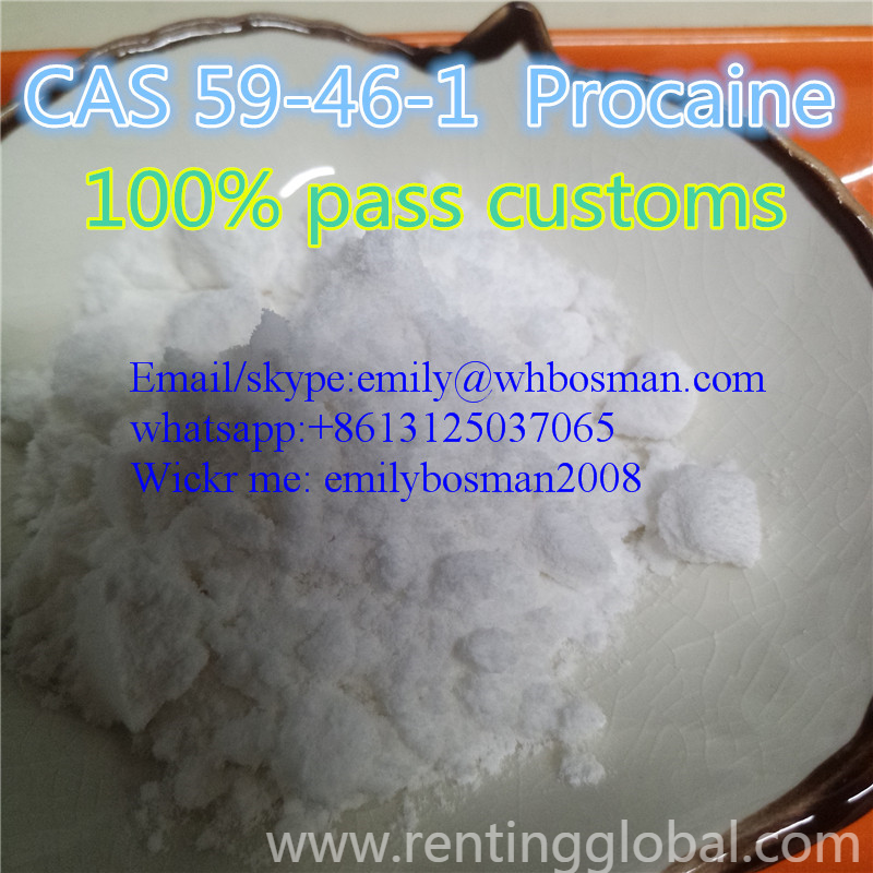 www.rentingglobal.com, renting, global, Moscow, Russia, cas 59-46-1,procaine,procaine factory,procaine supplier,procaine vendor,procaine distributor,procaine powder, 100% Safe Delivery, Procaine CAS 59-46-1 Wickr me: emilybosman2008