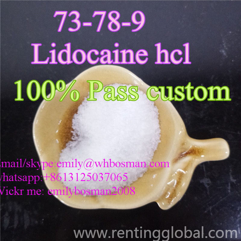 www.rentingglobal.com, renting, global, Moscow, Russia, 73-78-9,lidocaine hcl,cas 73-78-9,  100% Safe Delivery,CAS 73-78-9  Lidocaine hcl Wickr me: emilybosman2008