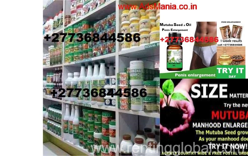 www.rentingglobal.com, renting, global, Johannesburg, South Africa, MUTUBA SEED AND OIL FOR PENIS ENLARGER FROM AFRICA +27736844586