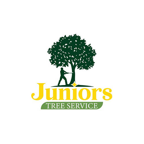 www.rentingglobal.com, renting, global, Detroit, MI 48209, USA, tree services,tree trimming,lot cleaning,gardening., Juniors Tree services