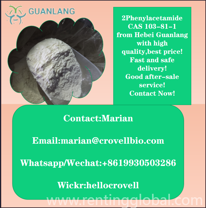 www.rentingglobal.com, renting, global, North Carolina, USA, 2-phenylacetamide,103-81-1,cas 103-81-1, 2-Phenylacetamide CAS 103-81-1 for sale Whatsapp+8619930503286