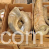 www.rentingglobal.com, renting, global, Vietnam, buy rhino horn online,rhino horn for sale online, Buy Rhino Horn online wildlifeanimalstrade.com