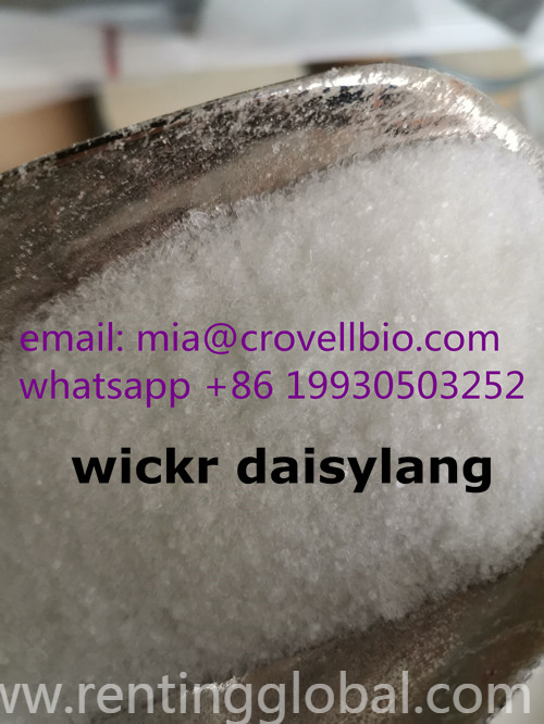 www.rentingglobal.com, renting, global, China, procaine,procaine hcl,procaine base,lidocaine, procaine /  procaine hcl ( whatsapp +86 19930503252 