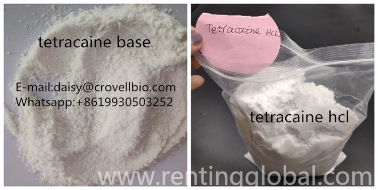 www.rentingglobal.com, renting, global, China, tetracaine,tetracaine  hcl, tetracaine / tetracaine hcl ( whatsapp +86 19930503252