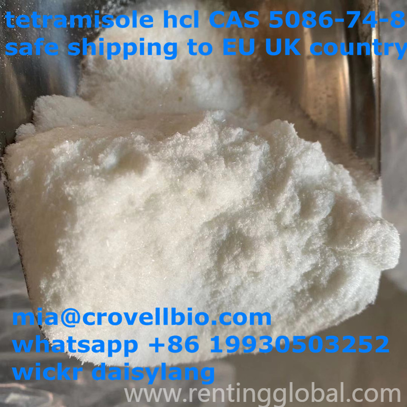 www.rentingglobal.com, renting, global, China, tetramisole supplier in china,5086-74-8,tetramisole, tetramisole supplier in CHina CAS 5086-74-8  (mia@crovellbio.com whatsapp +86 19930503252